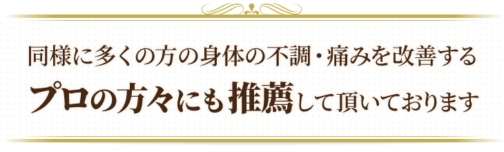 同様に多くの方の身体の不調・痛みを改善するプロの方々にも推薦していただいております